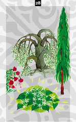 Transformation Tarot Card